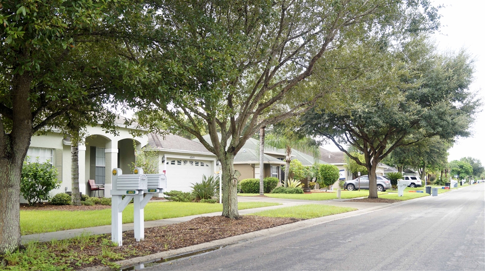 Market Snapshot Grove Pointe, Sarasota Photo Galleries